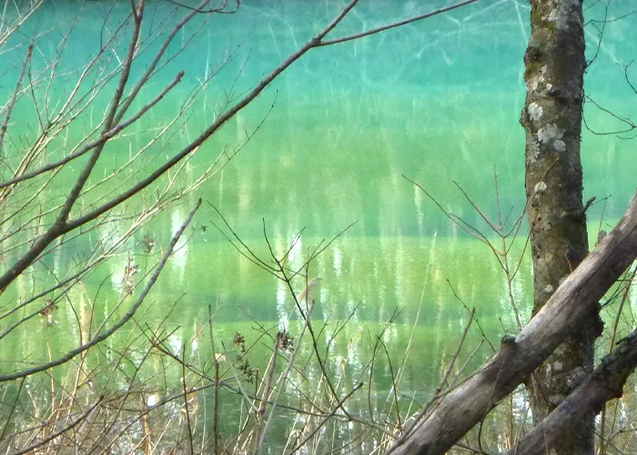 青沼は小さいながら五色沼湖沼群の中で最も青白色に光っています。