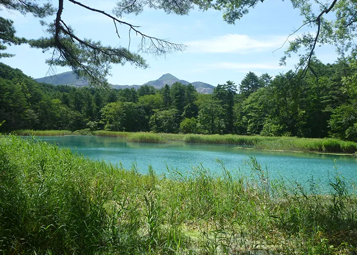 青沼の隣には磐梯山を背景に瑠璃沼を望みます。