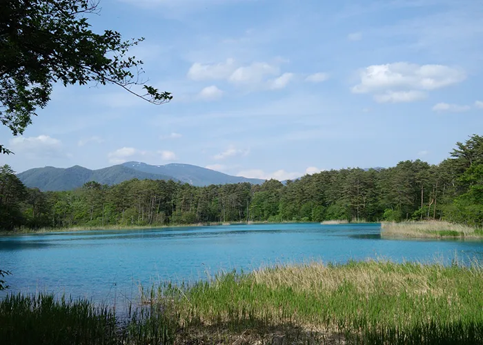 五色沼の中で2番目に大きい弁天沼は、遠く吾妻の山並みも望め明るく広々としています。