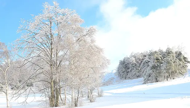 雪の美しい場所へお連れします