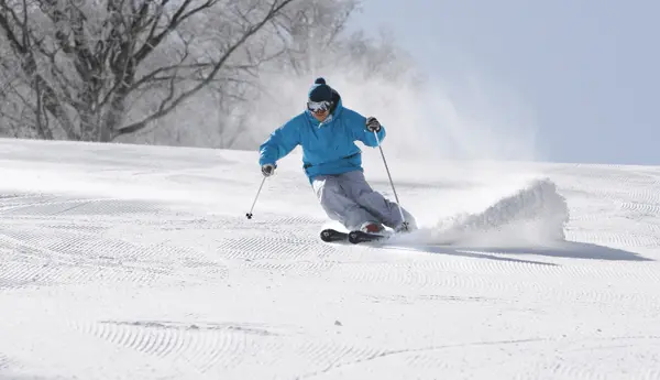 上質な粉雪が降り積もる裏磐梯