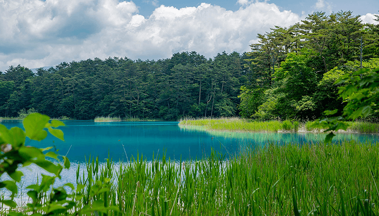 はじめての五色沼早朝散歩