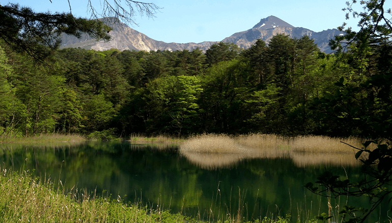 はじめての五色沼早朝散歩