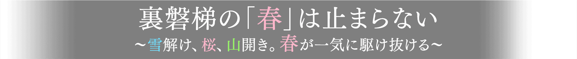 裏磐梯の春は止まらない～雪解け、桜、山開き。春が一気に駆け抜ける～