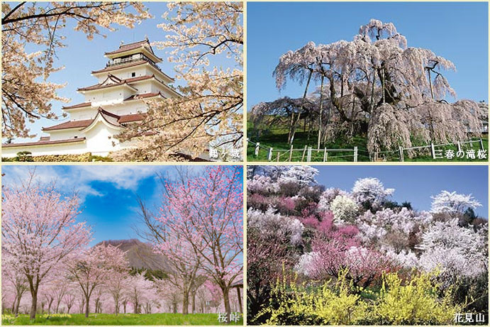 4～5月まで楽しむ福島の桜めぐり