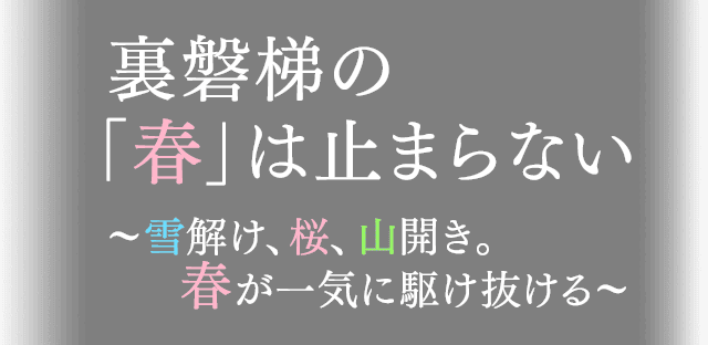 裏磐梯の春は止まらない～雪解け、桜、山開き。春が一気に駆け抜ける～