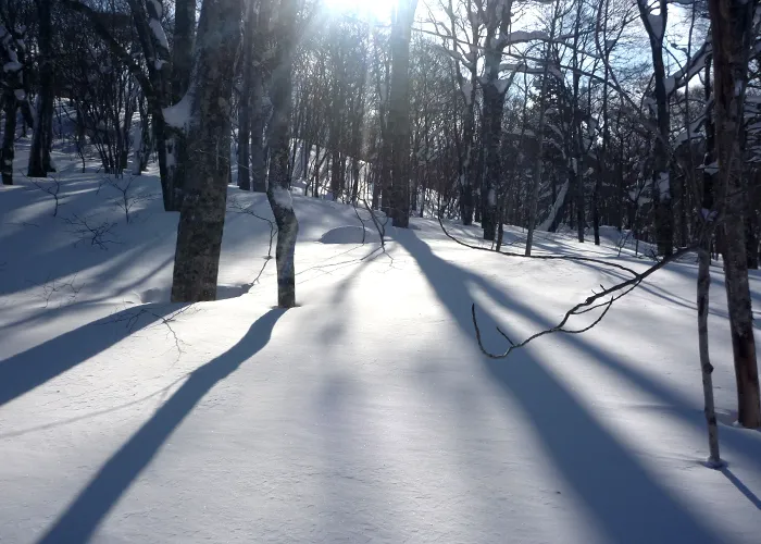 帰り道も雪と戯れ、神秘的な時間を楽しんで。