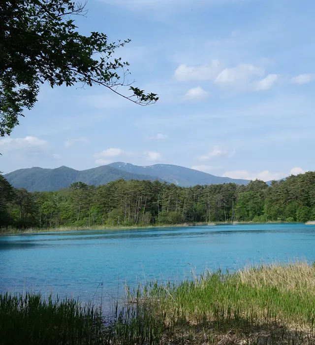 裏磐梯を代表する湖沼群 五色沼、桧原湖を歩く