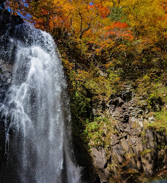 秋の紅葉を満喫　裏磐梯周辺の紅葉スポット ― ドライブ・沼・神社・滝・ライトアップ ―