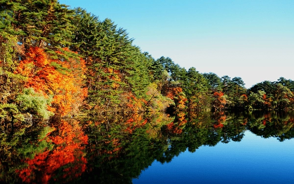 ひと山、紅葉ひとり占め