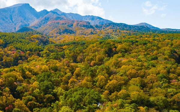 赤・オレンジ・黄色に染まる山を登る