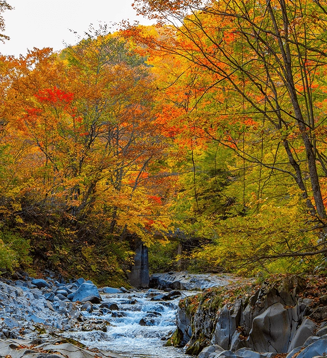 裏磐梯レイクリゾートの美しい紅葉を愛でる。紅葉に染まる絶景を愛でに、裏磐梯へ。