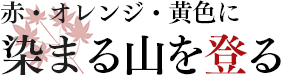 赤・オレンジ・黄色に染まる山を登る