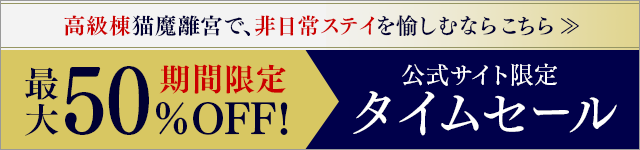 公式サイト限定タイムセール