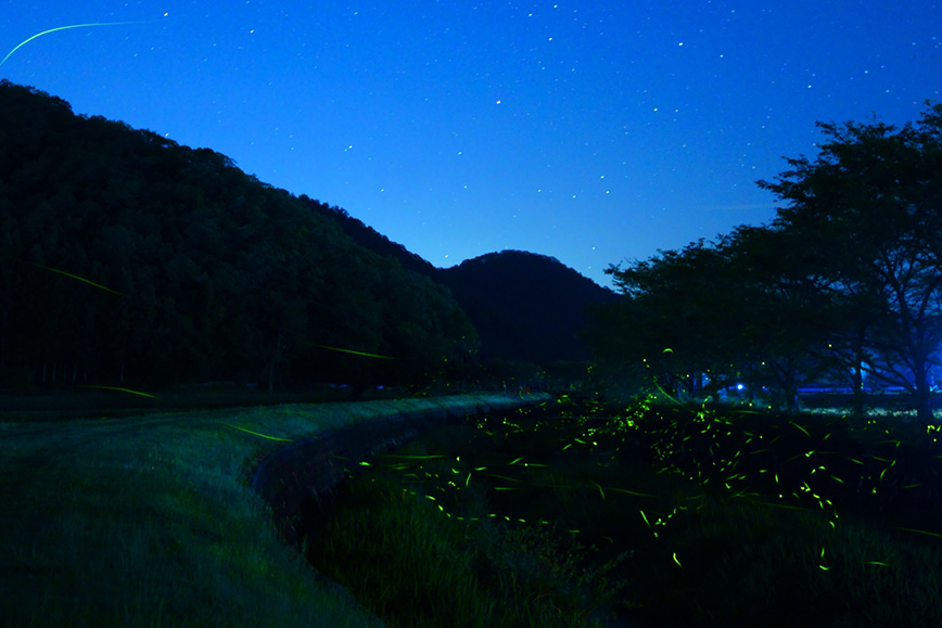 夜の宝探しと星空観察会