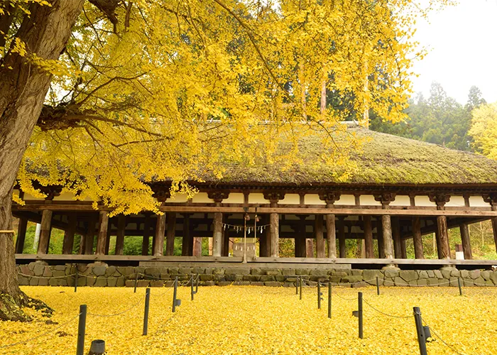 新宮熊野神社の長床