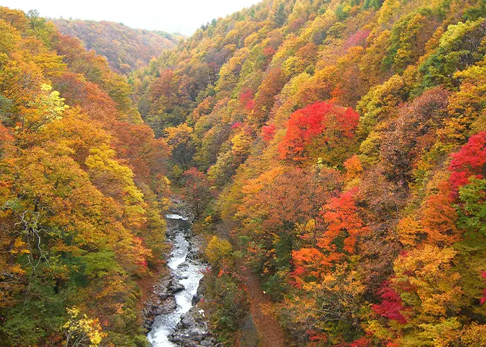 中津川渓谷